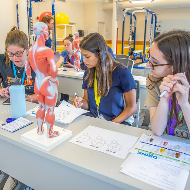 Career Explorations students in the Exercise Science lab.