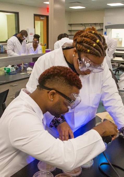 students researching in science lab