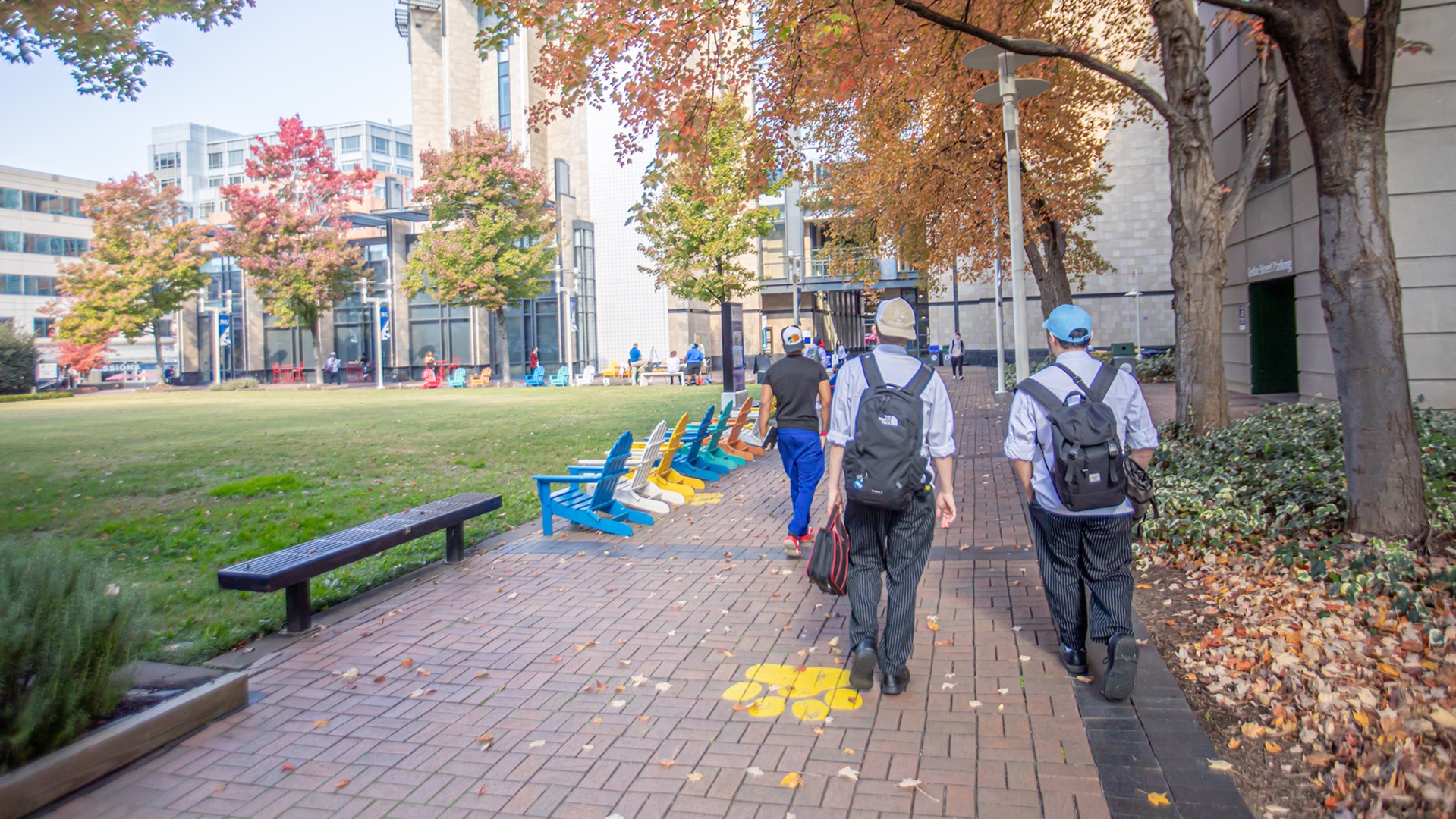 Charlotte Campus Fall
