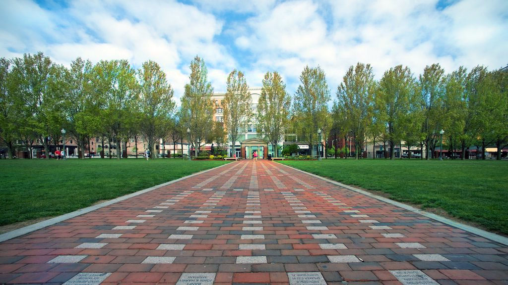 Gaebe Commons facing Westminster with a brick path in the center.