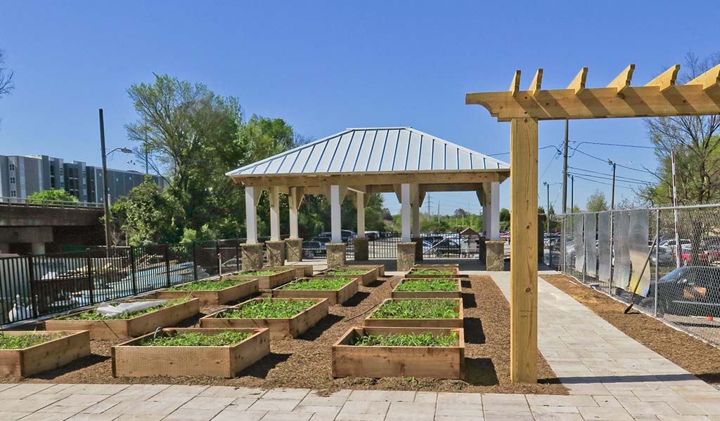 The Coop Teaching Garden in Charlotte