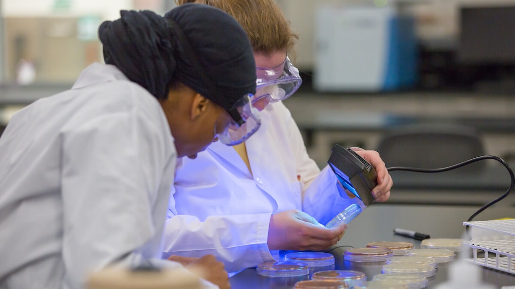 two applied food science students taking a sample in the lab