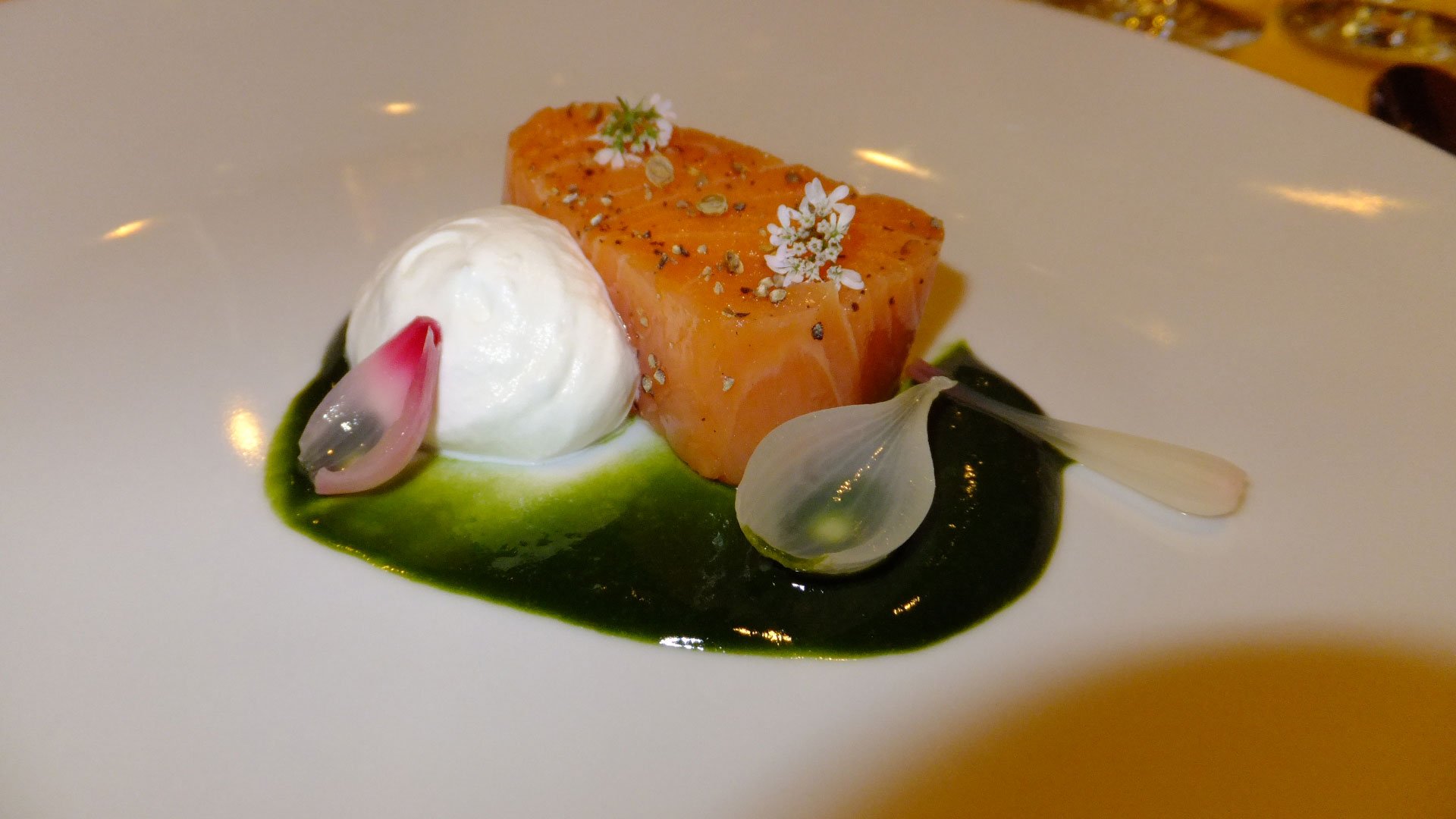 Salmon plate for a JWU dinner showcasing modernist techniques.