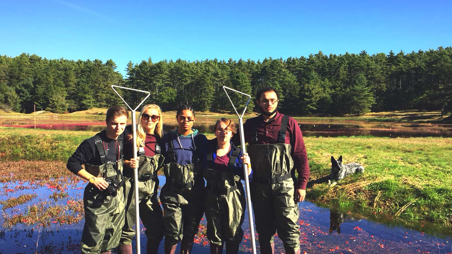 ADTEAM members explore cranberry bog