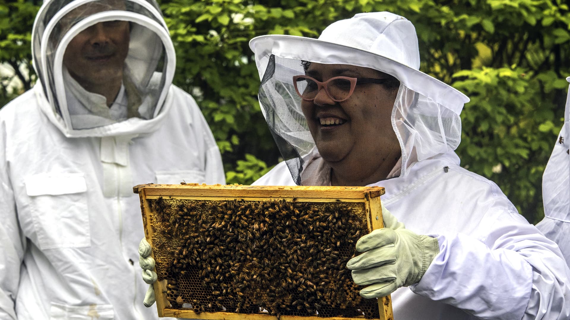 Honey Summit show-and-tell: Pulling out the beehive frame during the apiary tour.