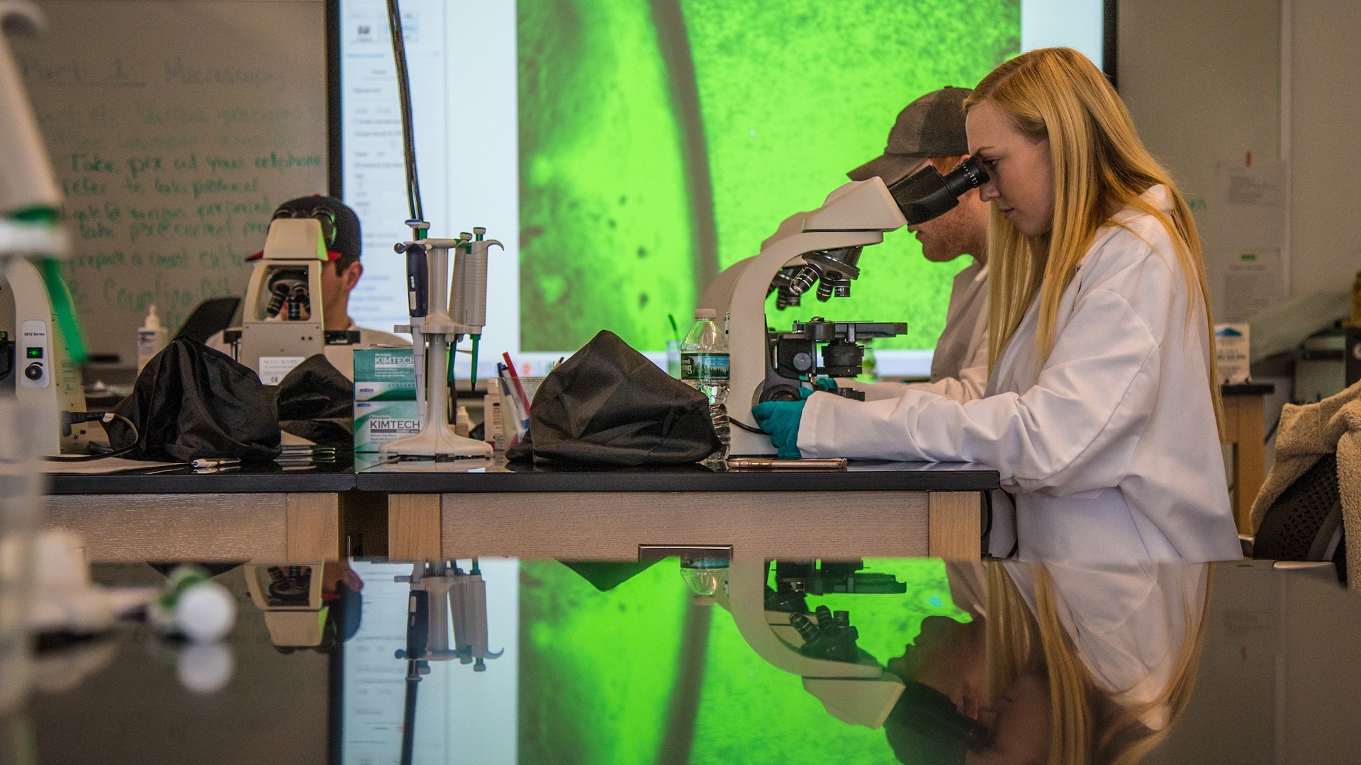 Students at work in one of our science labs.