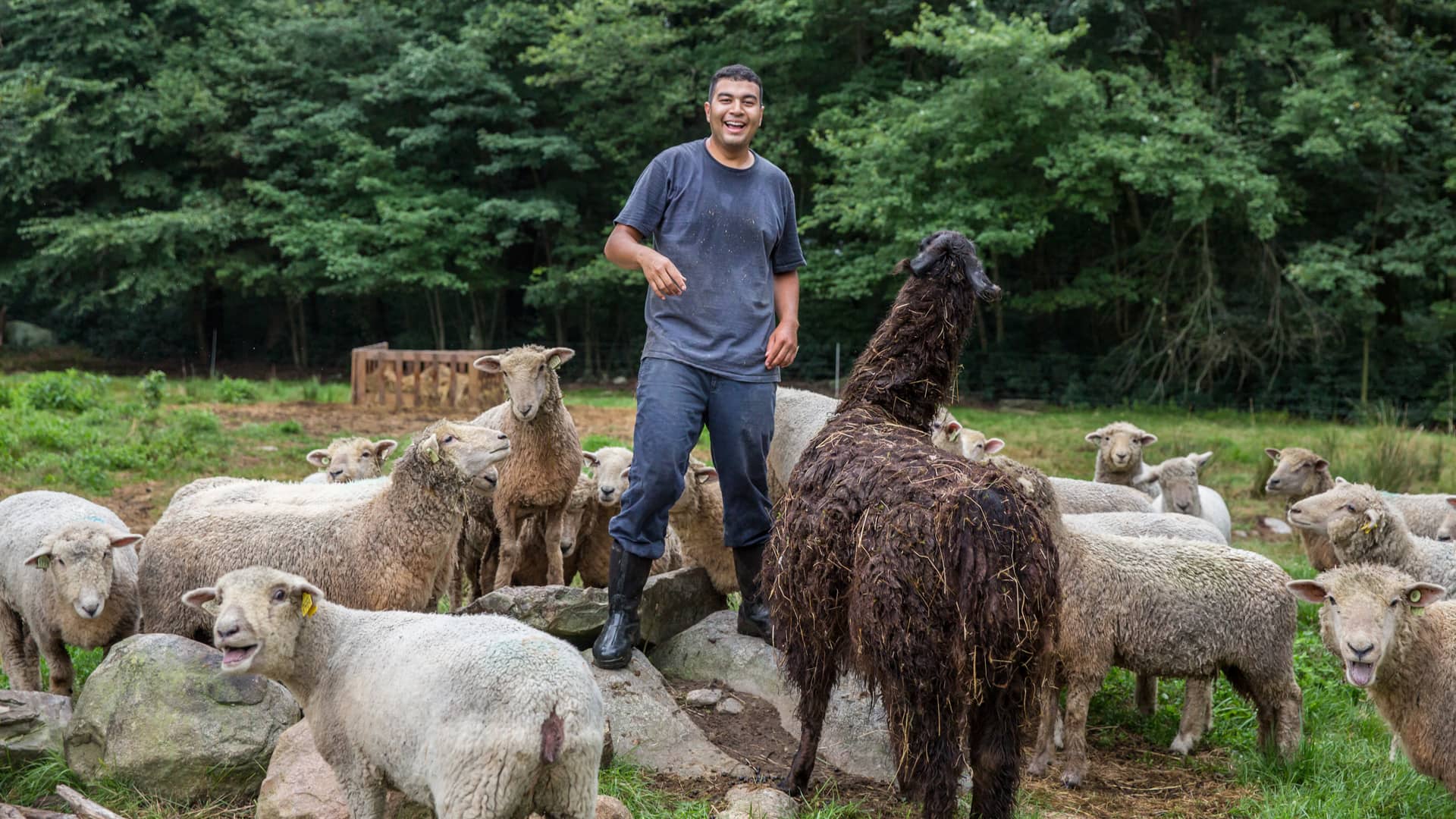 Victor Delgado in the barn at Hopkins Southdowns Farm.