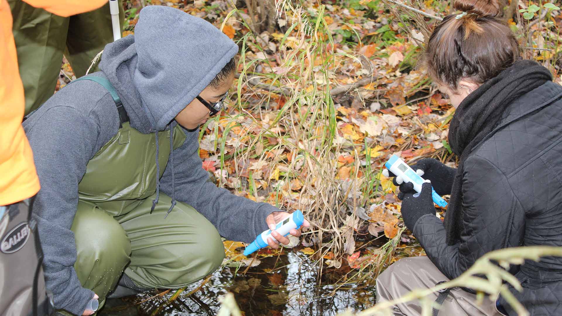 JWU students in stream collecting samples