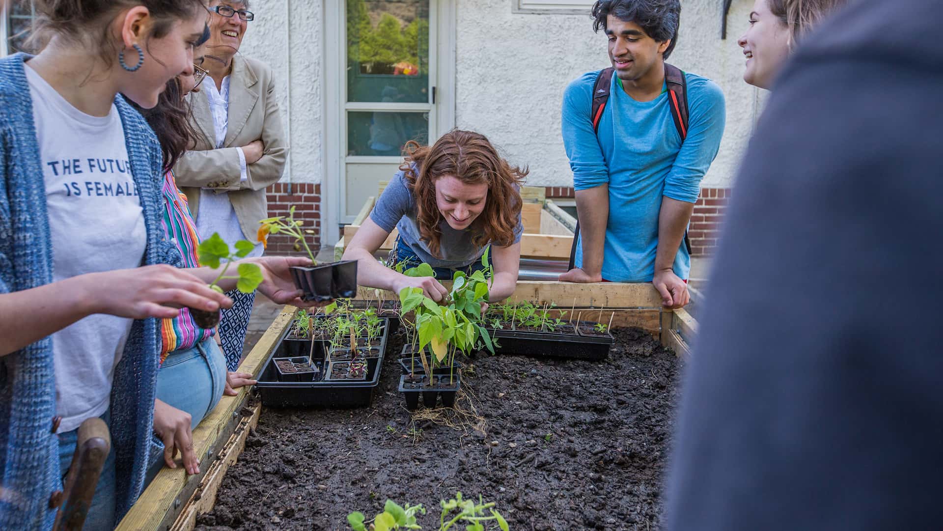 Ruth Solomon planting.