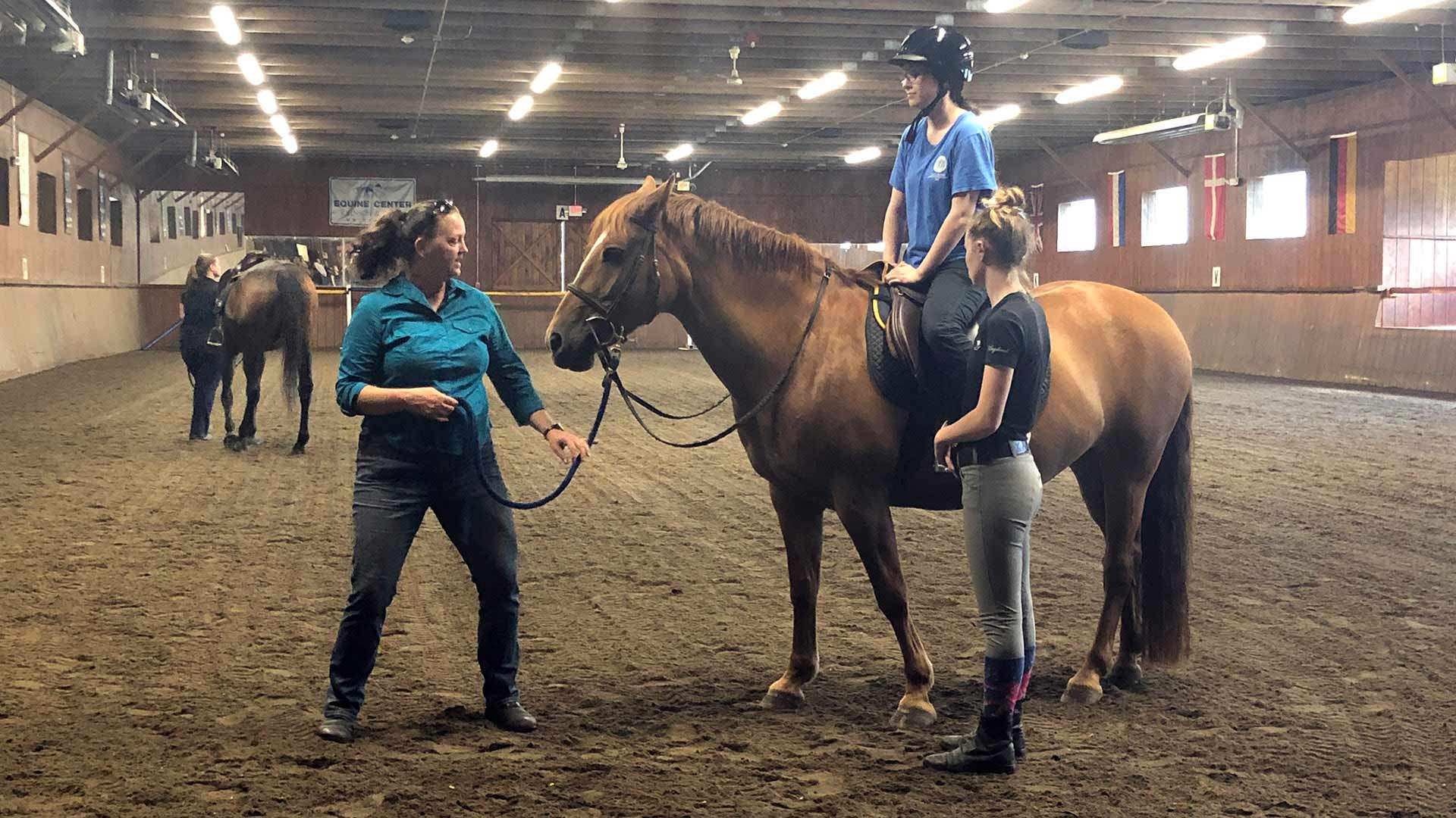 OTD students meet the horses