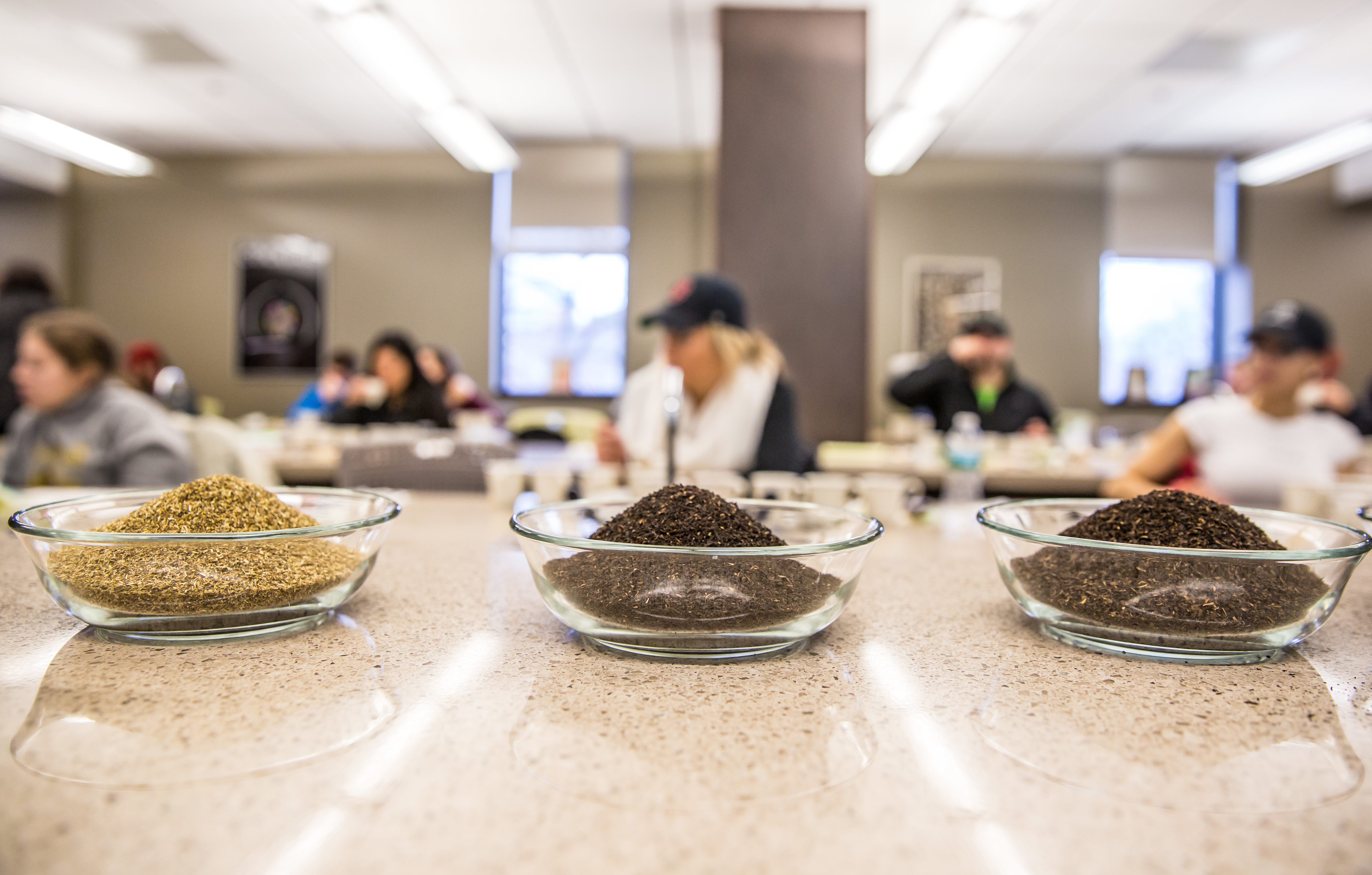 various samples of tea