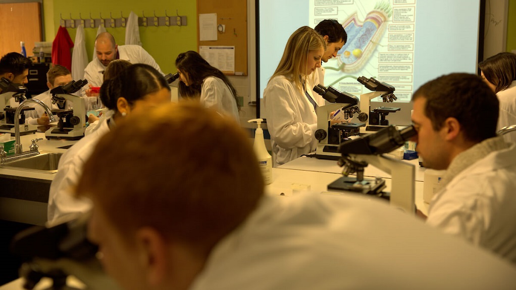 Students in a lab looking into microscopes