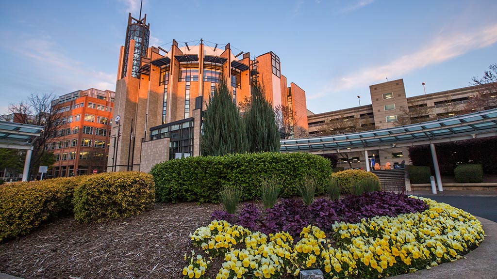 The Charlotte Campus Academic Center in the background with spring flowers in the foreground 