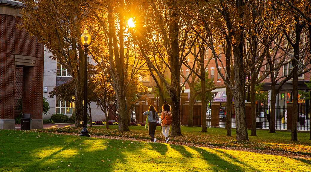 gaebe in the fall