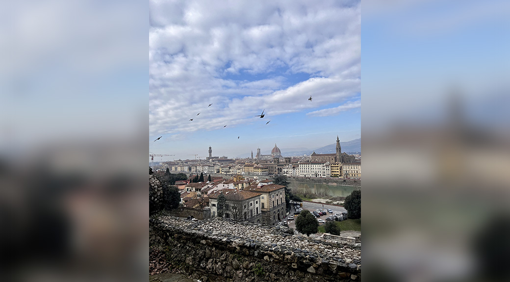 Florence landscape