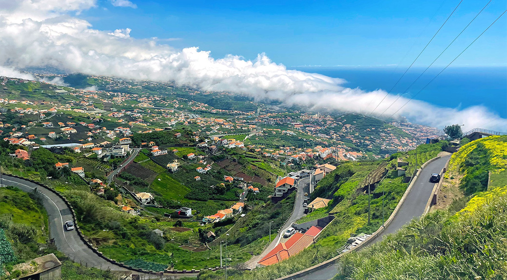 Madeira Landscape