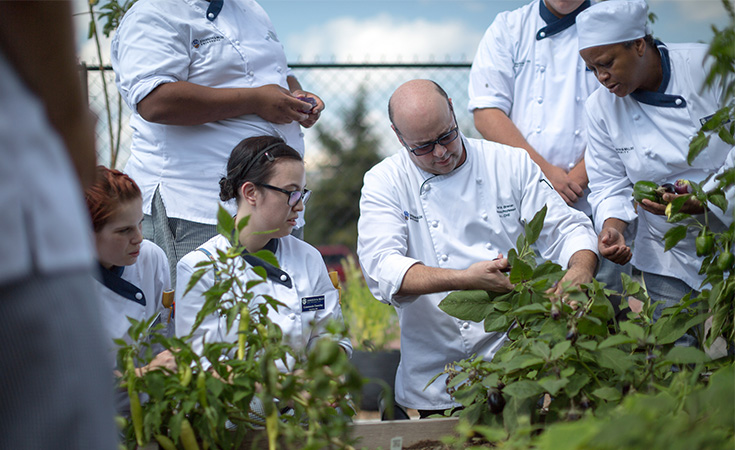 A culinary professor and a group of students engaging in a hands-on nutrition science lesson in the garden.