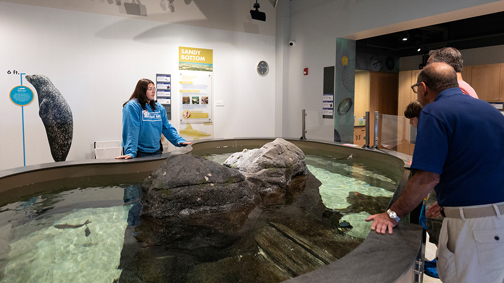Hailey Sangillo '27 lectures to a group by an indoor pool of fish