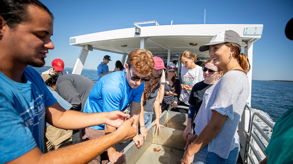 Students on a Save the bay boat