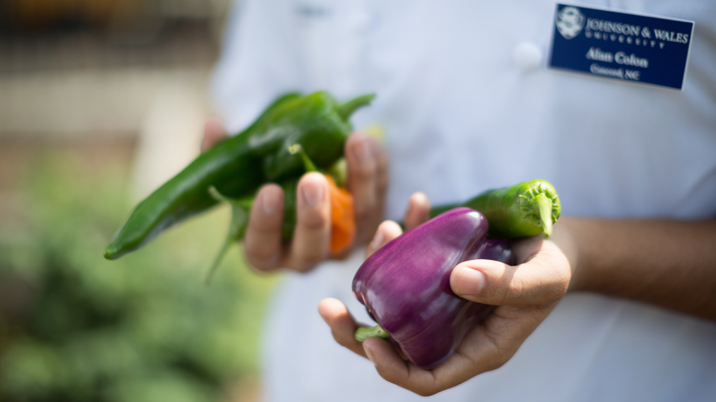a closeup of hands holding two vegetables grown at JWU Charlotte
