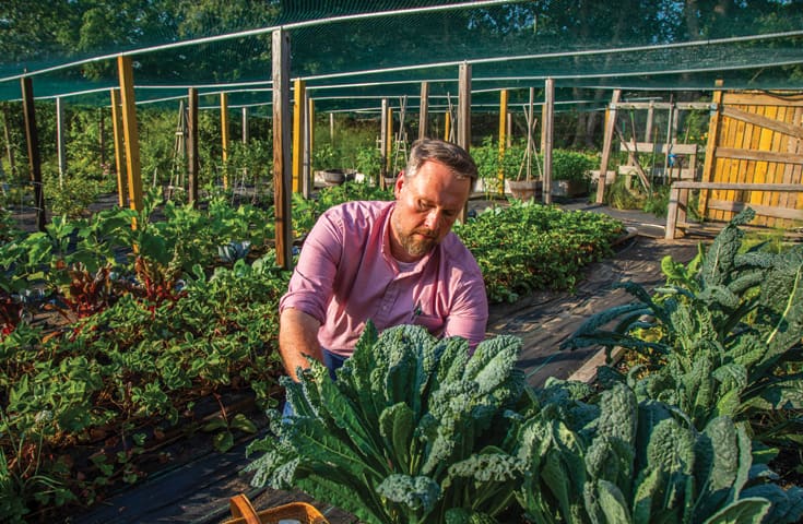 Dean Jason Evans at Gilded Tomato Farm.