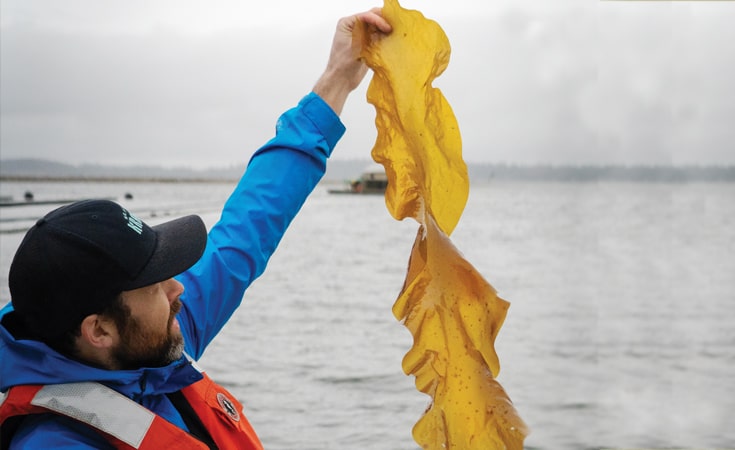 Travis Bettinson '10 farming kelp.