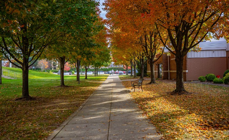 jwu_fall_735x450.jpg